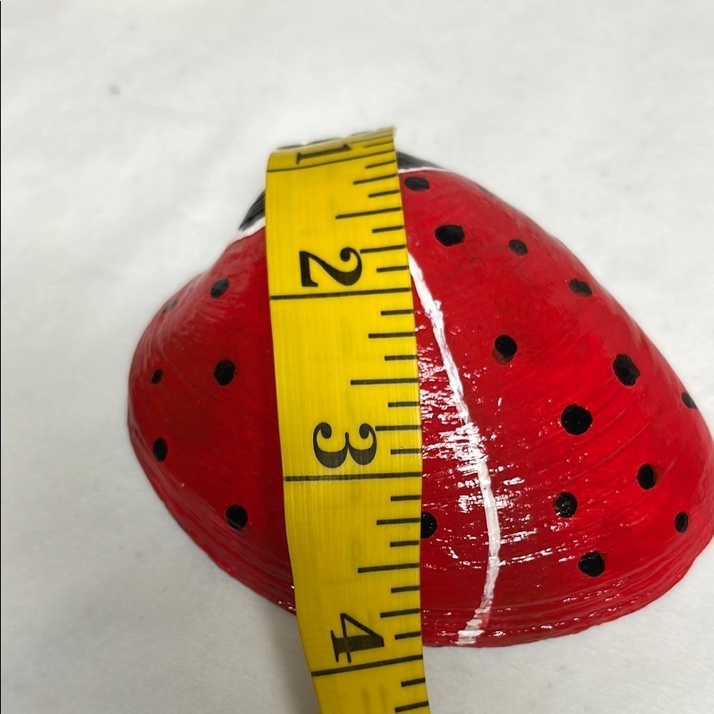Hand Painted  Ladybug Shell - Picture 9 of 9